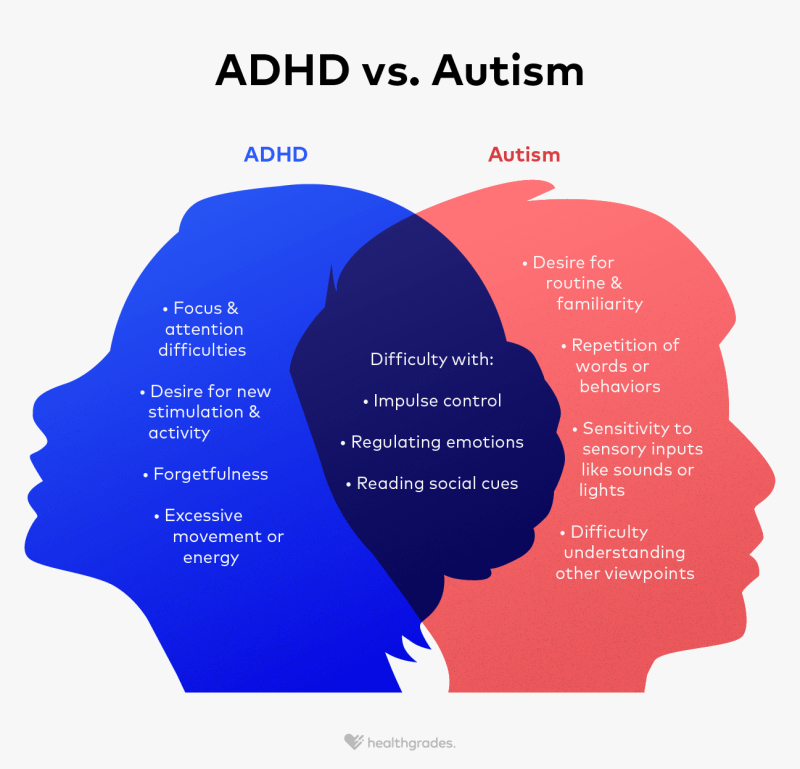 neurodivergence, ADHD and High Functioning Autism